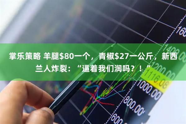 掌乐策略 羊腿$80一个，青椒$27一公斤，新西兰人炸裂：“逼着我们润吗？！”