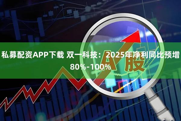 私募配资APP下载 双一科技：2025年净利同比预增80%-100%