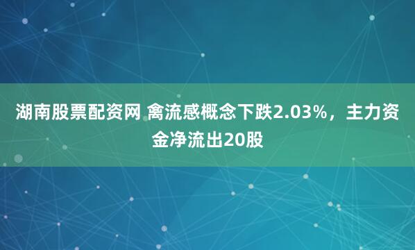 湖南股票配资网 禽流感概念下跌2.03%,主力资金净流出20股