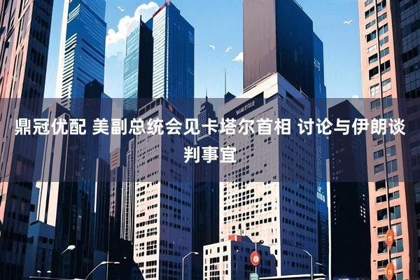 鼎冠优配 美副总统会见卡塔尔首相 讨论与伊朗谈判事宜