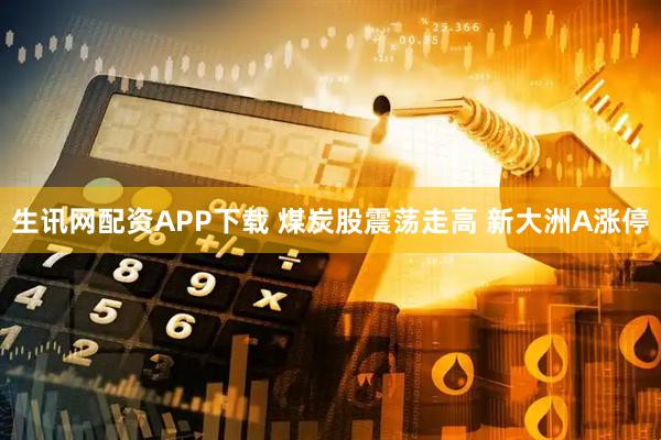 生讯网配资APP下载 煤炭股震荡走高 新大洲A涨停
